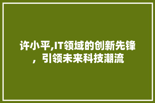 许小平,IT领域的创新先锋，引领未来科技潮流