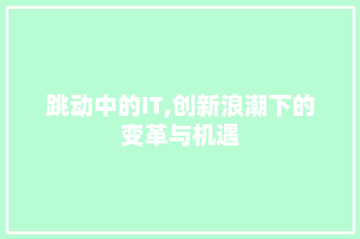 跳动中的IT,创新浪潮下的变革与机遇 项目报告