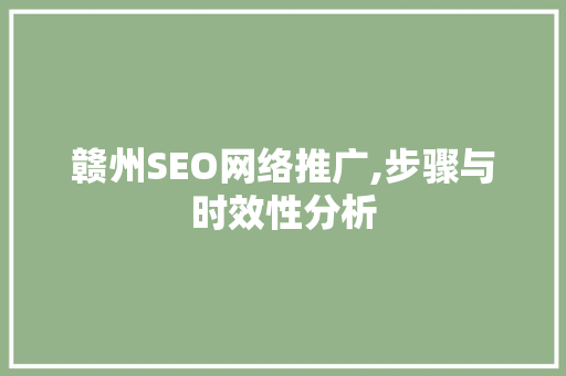 赣州SEO网络推广,步骤与时效性分析