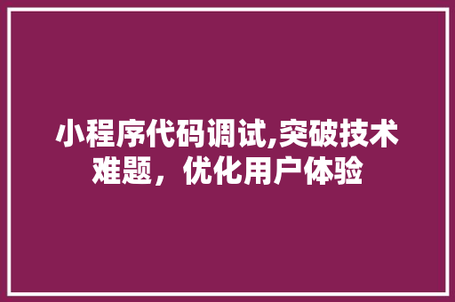 小程序代码调试,突破技术难题，优化用户体验 商务信函