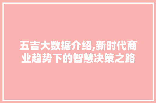 五吉大数据介绍,新时代商业趋势下的智慧决策之路 响应式设计