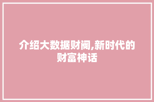 介绍大数据财阀,新时代的财富神话