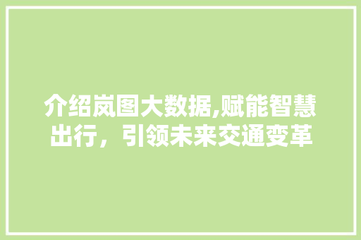 介绍岚图大数据,赋能智慧出行，引领未来交通变革