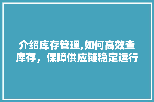 介绍库存管理,如何高效查库存，保障供应链稳定运行
