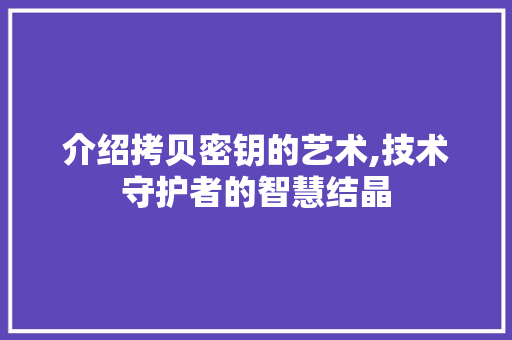 介绍拷贝密钥的艺术,技术守护者的智慧结晶