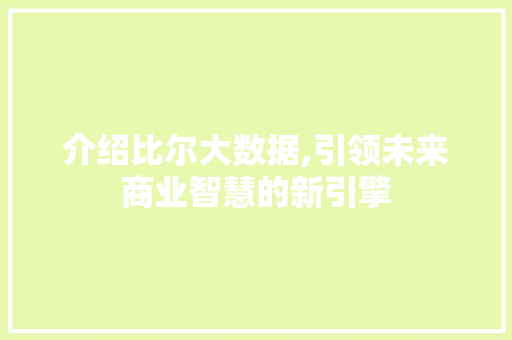 介绍比尔大数据,引领未来商业智慧的新引擎