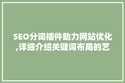 SEO分词插件助力网站优化,详细介绍关键词布局的艺术