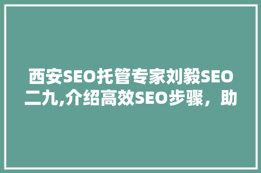 西安SEO托管专家刘毅SEO二九,介绍高效SEO步骤，助力企业互联网营销 网站建设
