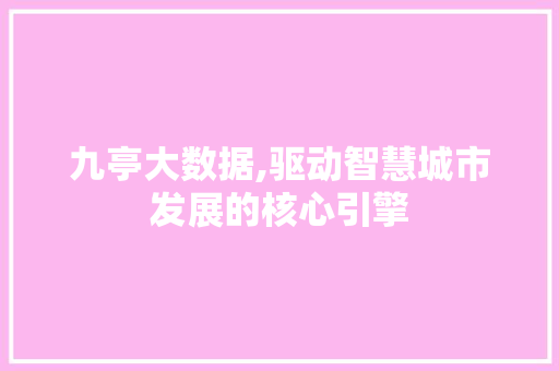 九亭大数据,驱动智慧城市发展的核心引擎 后端技术