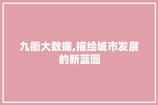 九衢大数据,描绘城市发展的新蓝图 缓存Redis