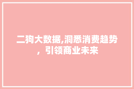 二狗大数据,洞悉消费趋势，引领商业未来 MySQL