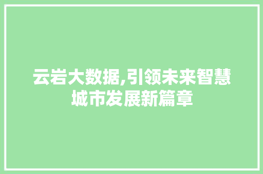 云岩大数据,引领未来智慧城市发展新篇章