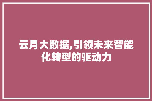 云月大数据,引领未来智能化转型的驱动力 市场营销范文