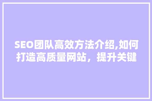 SEO团队高效方法介绍,如何打造高质量网站，提升关键词排名