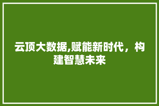 云顶大数据,赋能新时代，构建智慧未来