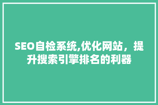 SEO自检系统,优化网站，提升搜索引擎排名的利器