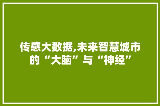 传感大数据,未来智慧城市的“大脑”与“神经”