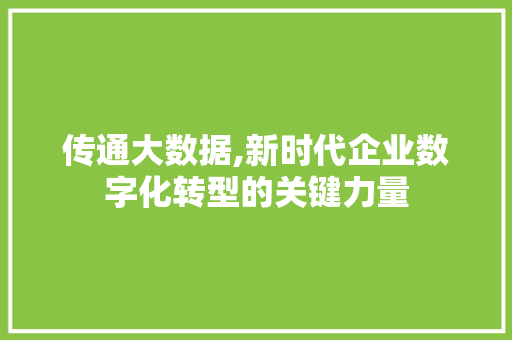 传通大数据,新时代企业数字化转型的关键力量