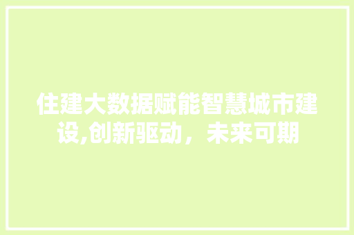 住建大数据赋能智慧城市建设,创新驱动，未来可期
