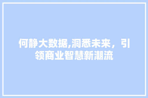 何静大数据,洞悉未来，引领商业智慧新潮流