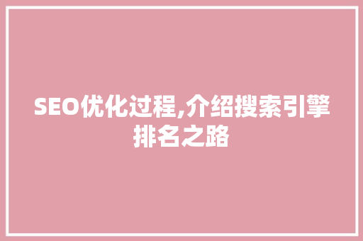 SEO优化过程,介绍搜索引擎排名之路