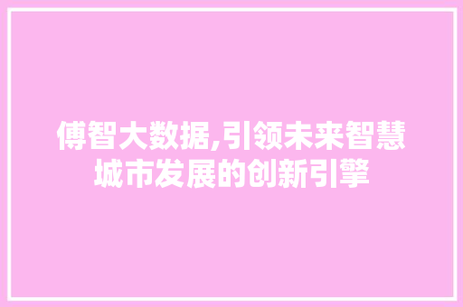 傅智大数据,引领未来智慧城市发展的创新引擎 响应式设计