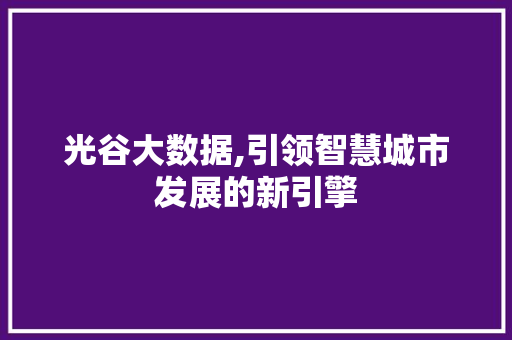 光谷大数据,引领智慧城市发展的新引擎