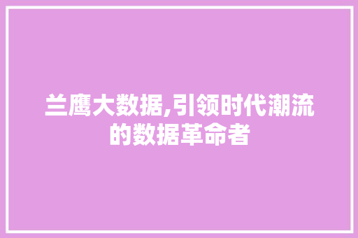 兰鹰大数据,引领时代潮流的数据革命者