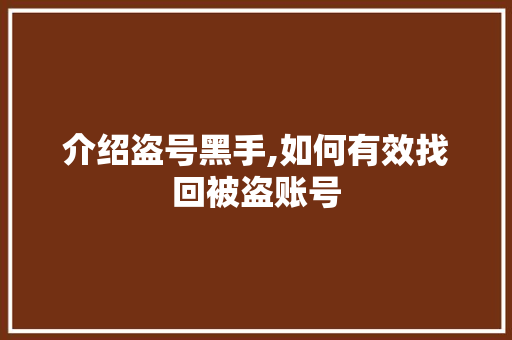 介绍盗号黑手,如何有效找回被盗账号