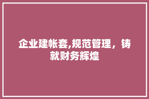 企业建帐套,规范管理，铸就财务辉煌
