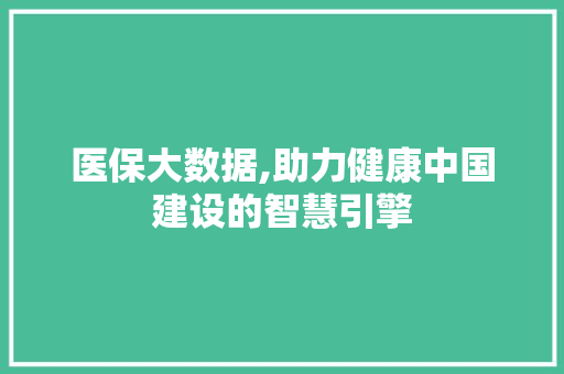 医保大数据,助力健康中国建设的智慧引擎 后端技术