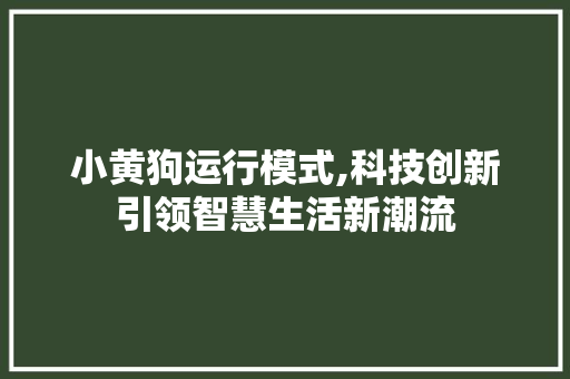 小黄狗运行模式,科技创新引领智慧生活新潮流