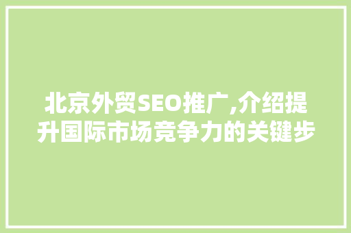 北京外贸SEO推广,介绍提升国际市场竞争力的关键步骤