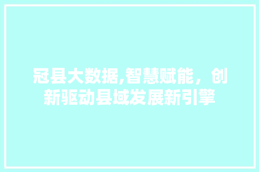 冠县大数据,智慧赋能，创新驱动县域发展新引擎