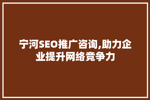 宁河SEO推广咨询,助力企业提升网络竞争力