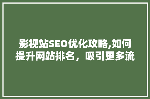 影视站SEO优化攻略,如何提升网站排名，吸引更多流量