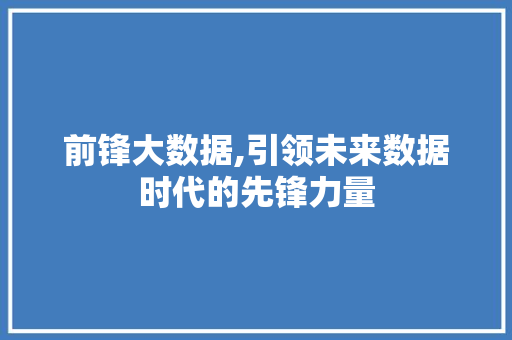 前锋大数据,引领未来数据时代的先锋力量 市场营销范文