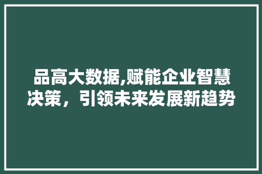 品高大数据,赋能企业智慧决策，引领未来发展新趋势 项目报告