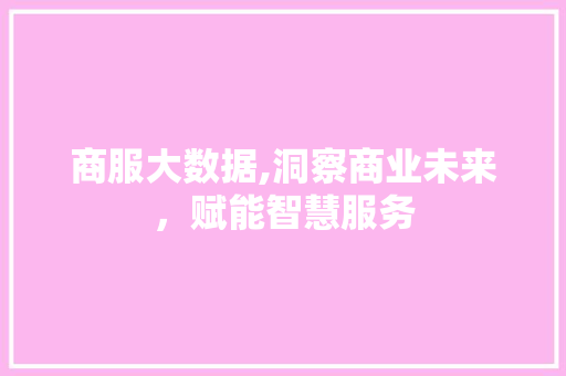 商服大数据,洞察商业未来，赋能智慧服务 市场营销范文