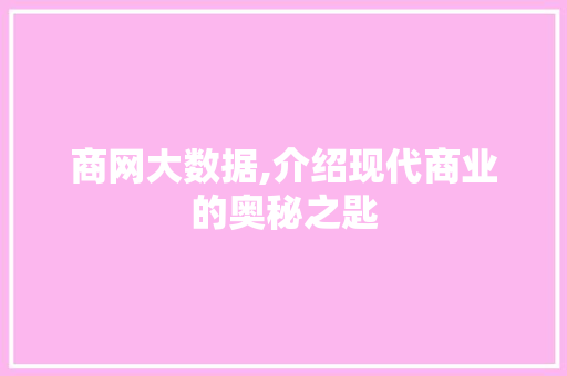 商网大数据,介绍现代商业的奥秘之匙