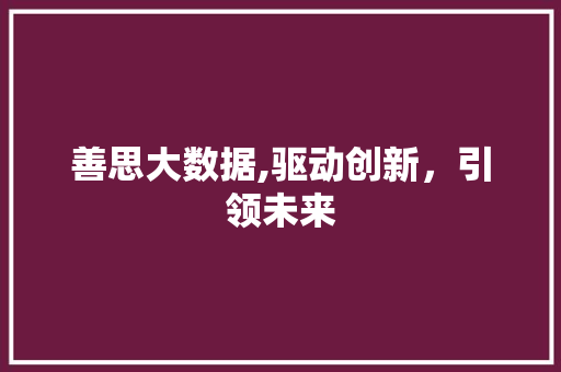 善思大数据,驱动创新，引领未来 缓存Redis
