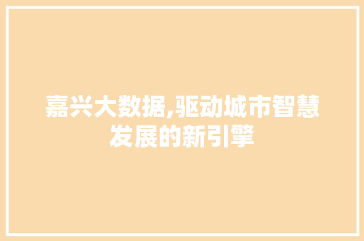 嘉兴大数据,驱动城市智慧发展的新引擎