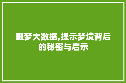 噩梦大数据,提示梦境背后的秘密与启示 前端技术