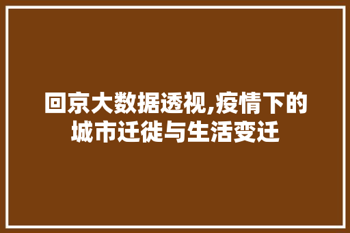 回京大数据透视,疫情下的城市迁徙与生活变迁 MySQL