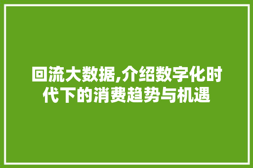 回流大数据,介绍数字化时代下的消费趋势与机遇 项目报告