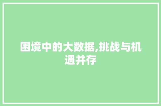 困境中的大数据,挑战与机遇并存