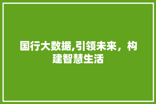 国行大数据,引领未来，构建智慧生活 缓存Redis