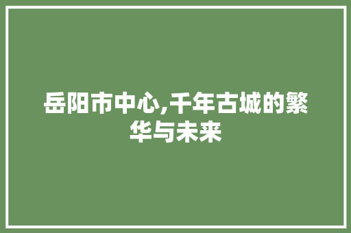 岳阳市中心,千年古城的繁华与未来