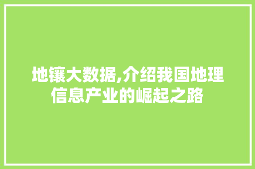 地镶大数据,介绍我国地理信息产业的崛起之路