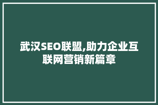 武汉SEO联盟,助力企业互联网营销新篇章